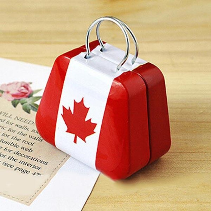 Mini Small Tin Coin Box Purse Case Jewelry Tea Storage Box Candy Container Organization